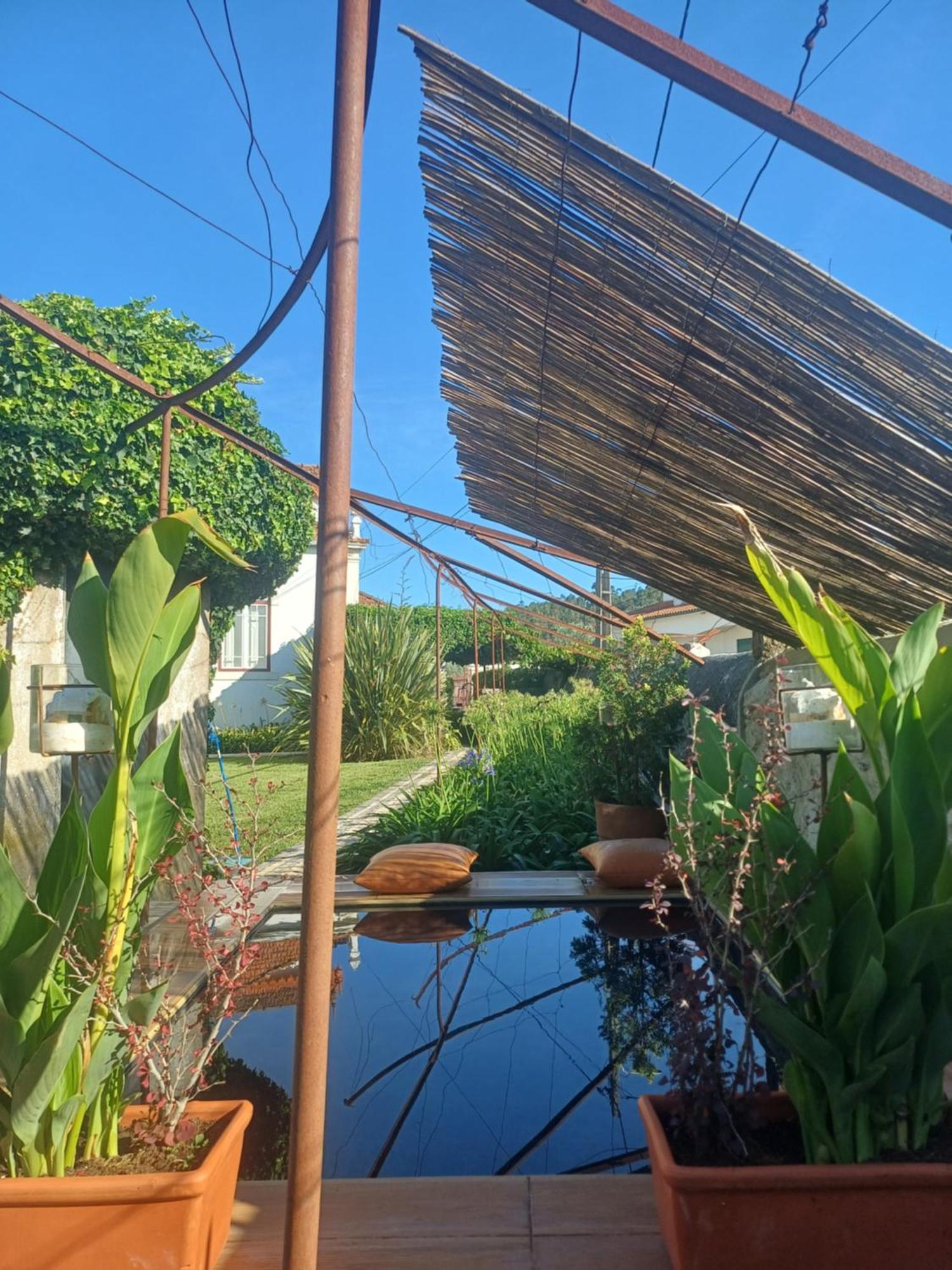 Vila Delfina โลซา ภายนอก รูปภาพ